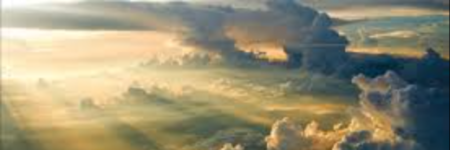 Cover image for post Meditation, by sandflea68