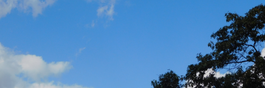 Cover image for post The Puzzle, by LexiCon