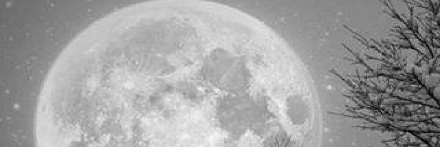 Cover image for post I knew then..., by LotusVele