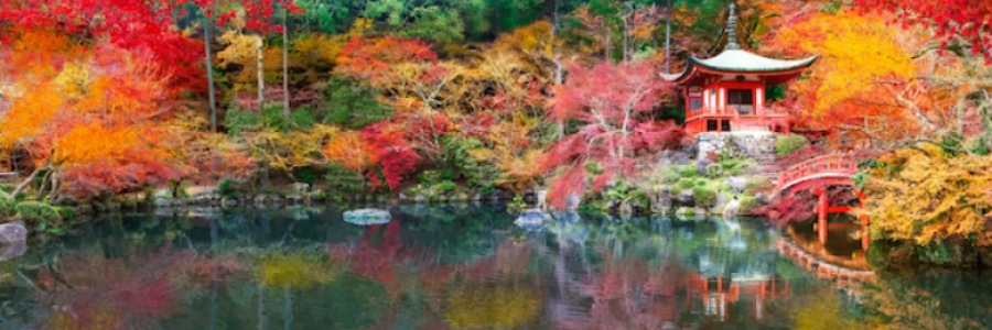 Cover image for post A Haiku in  4 Parts, by Danceinsilence