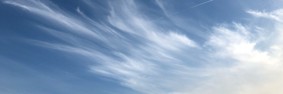 Cover image for post Wide Awake, by CaroleTPoland