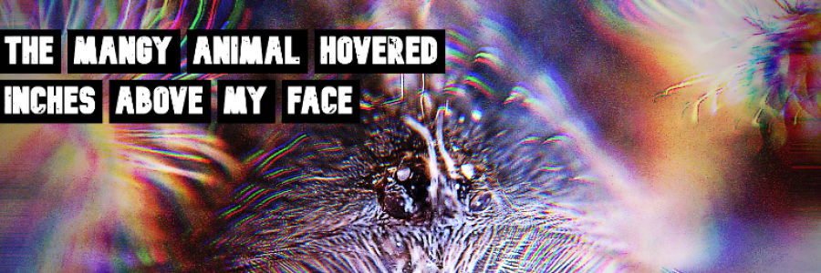 Cover image for post “I don’t deserve this,” I coughed., by 2Scared2Write