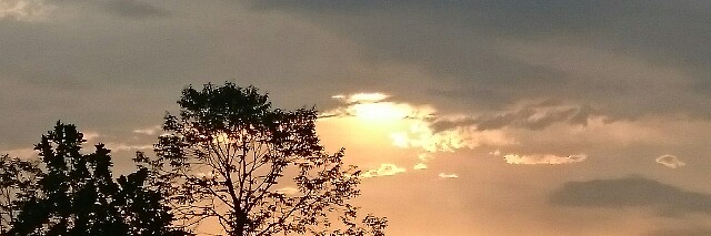 Cover image for post Jane., by Yen