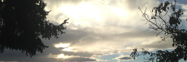 Cover image for post Breaking inside : trying to keep it together #dementiafuckin'sucks, by G