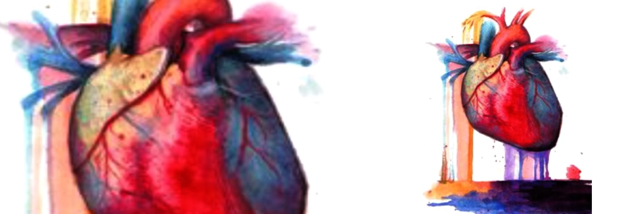 Cover image for post Human Heart, by AudreyW20