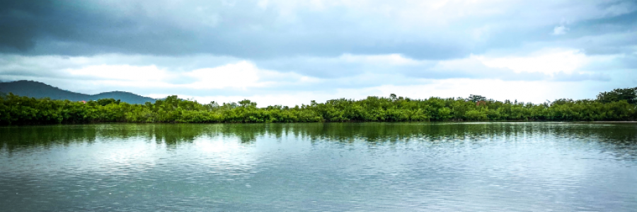 Cover image for post The Cleansing Tide, by CynthiG