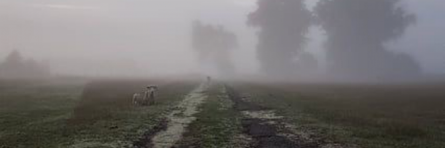 Cover image for post Glutton, by Quiksilvr