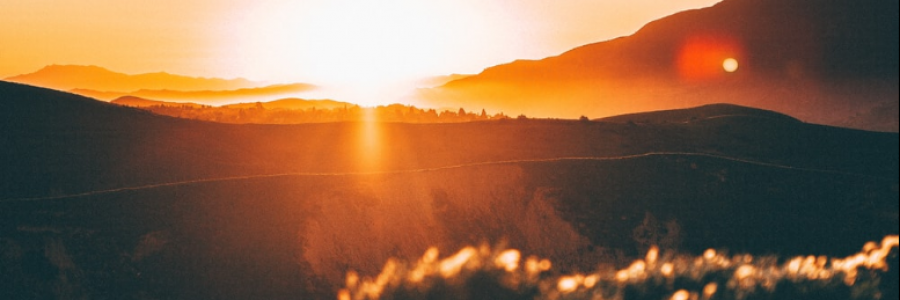 Cover image for post Untitled, by anarosewood