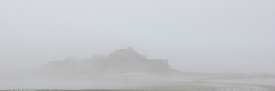 Cover image for post We belong, by Last