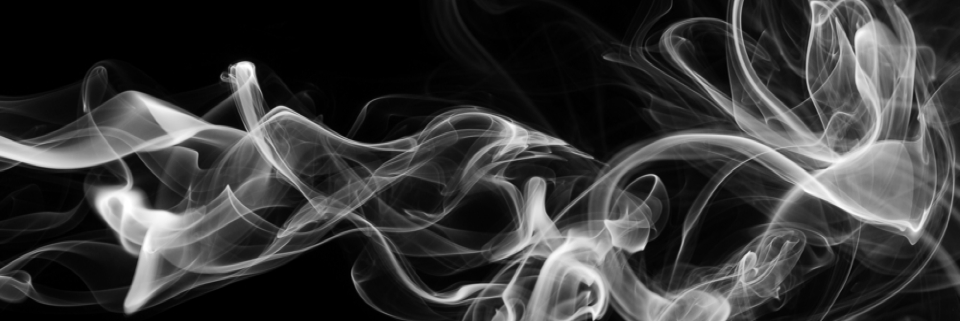 Cover image for post Beast inside, by Tisha