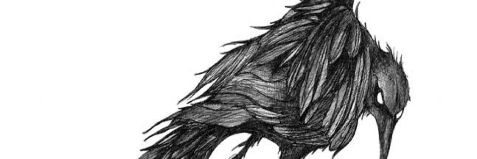 Cover image for post Sonnet Searing, by DaveK