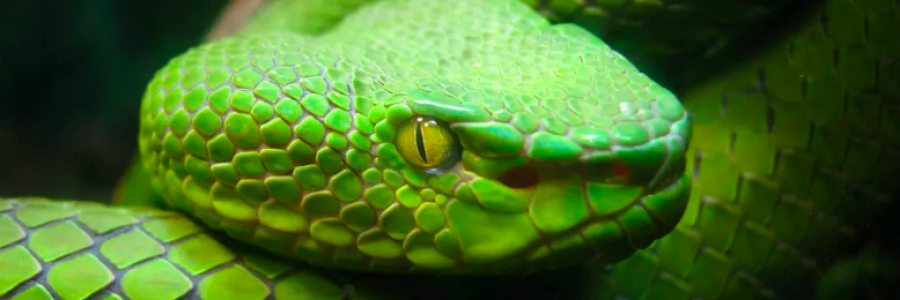 Cover image for post let em, by BloodforInk