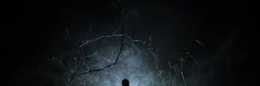 Cover image for post Free will continue., by Flash02