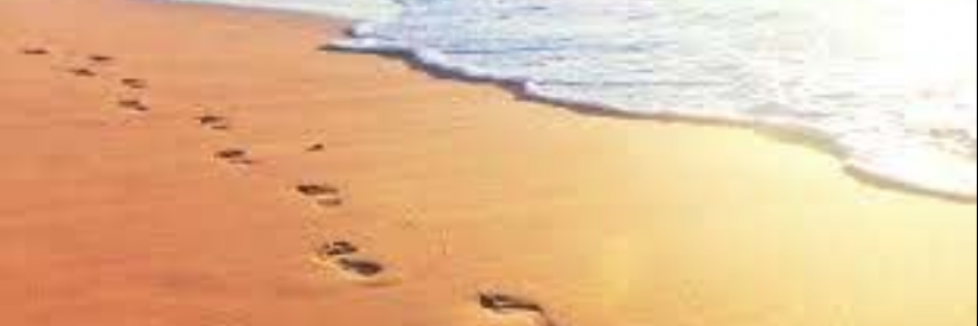 Cover image for post Fresh Footprints, by sandflea68