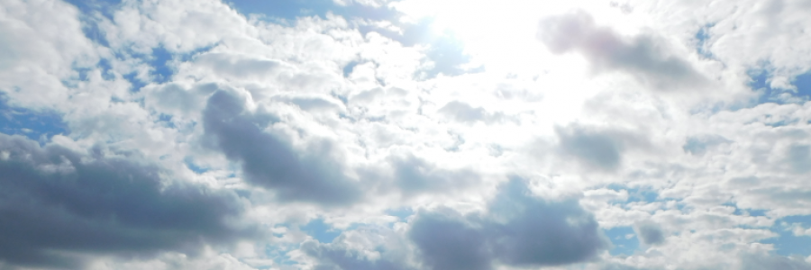 Cover image for post Free Indeed, by LexiCon