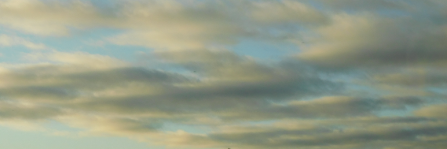 Cover image for post My Greatest Fear, by LexiCon