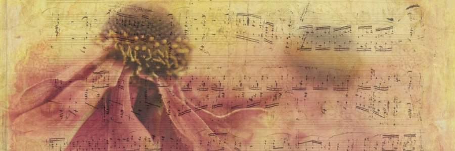 Cover image for post The Last Way, by Danceinsilence