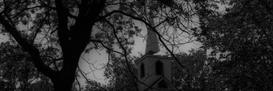 Cover image for post Father, by Lindy