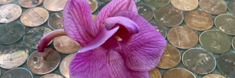 Cover image for post Laziness, by VT_Poetess