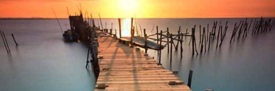 Cover image for post January 1, by Danceinsilence