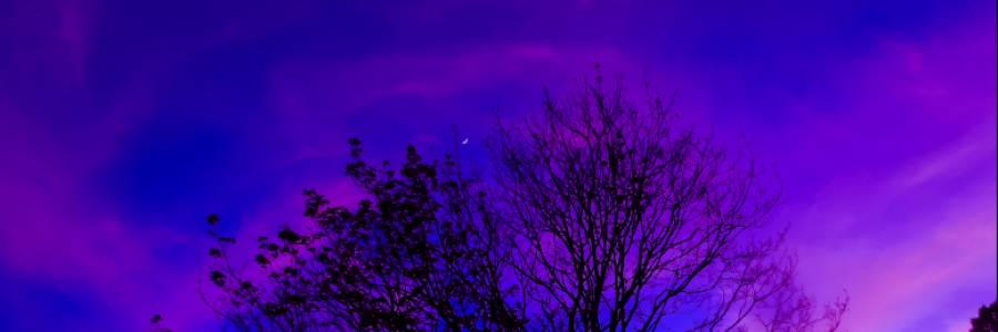 Cover image for post warm colors, by MClarice