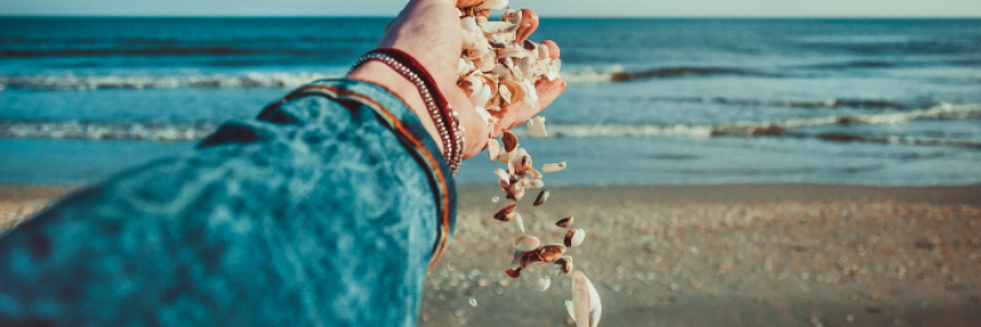 Cover image for post We're picking along the shore, by sarah_spunda