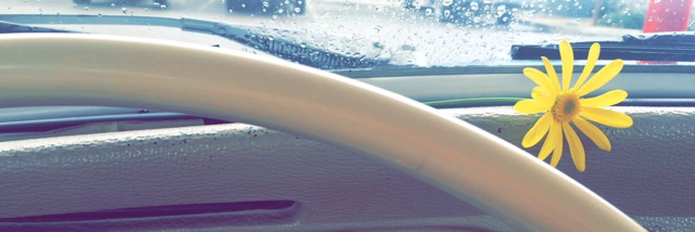 Cover image for post Existence, by jenarennee