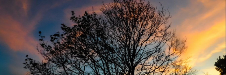 Cover image for post Autumn Goodbye, by MClarice