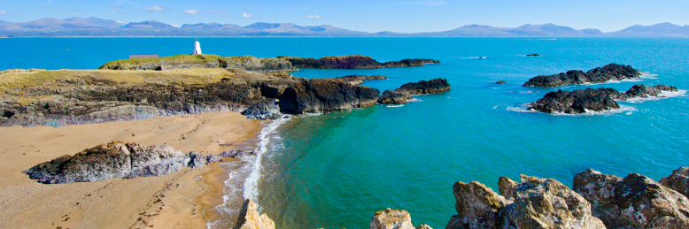 Cover image for post Shell Hunt, by Deiticlast