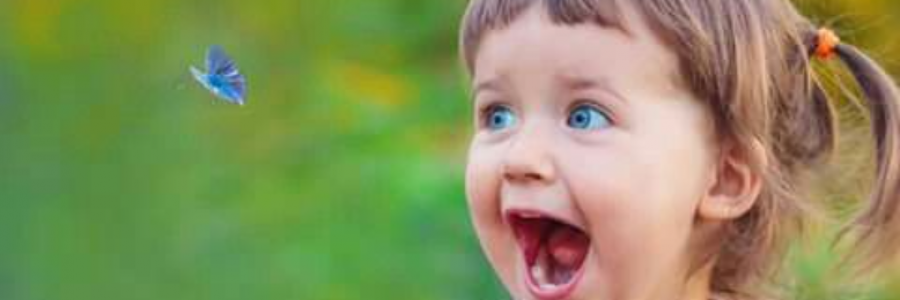 Cover image for post My Blue Butterfly, by Sanjana_S