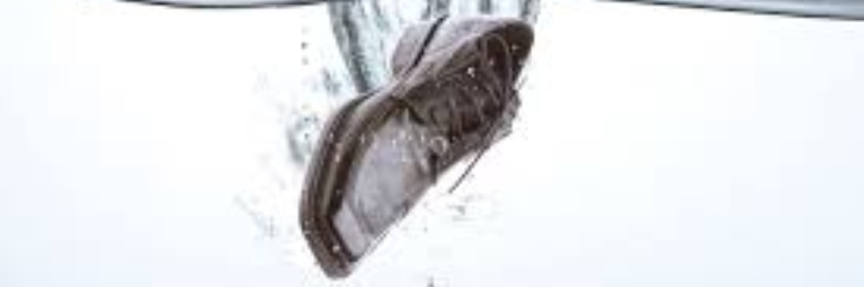 Cover image for post Dropping Shoe, by sandflea68