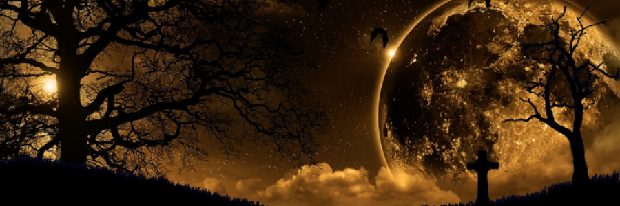 Cover image for post The Dirty Drunkard, by Sanjana_S