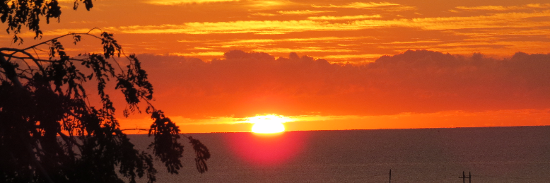 Cover image for post Hitchhiker With Intention, by KWPisME