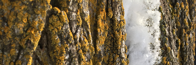 Cover image for post I am existence, by AgapeSophrosyne