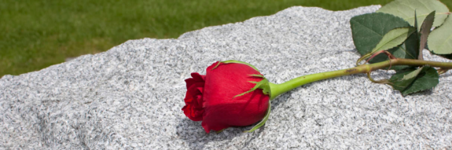 Cover image for post Carry On, by dustygrein