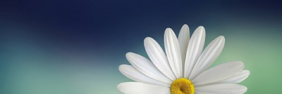 Cover image for post Lost, by DuncanAlidza