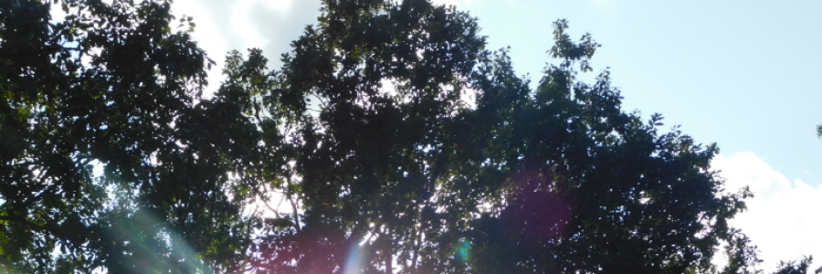 Cover image for post Broken Promises Result in Death, by LexiCon