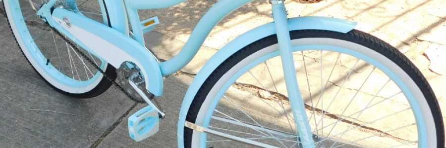 Cover image for post Zanthe Goldburg Robs the Bruins, by LexiCon