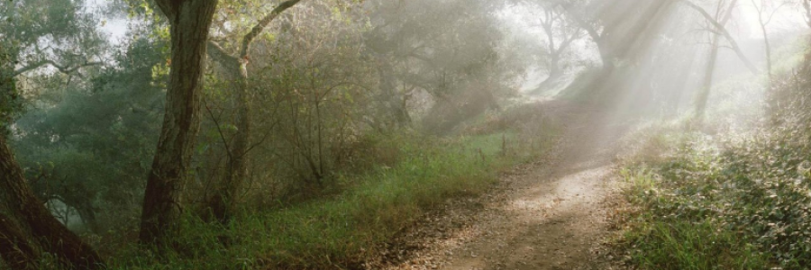 Cover image for post I Remember, by eMan