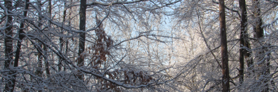 Cover image for post All for you, by Simone