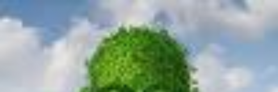 Cover image for post Rebirth, by SavanurTBhagyal