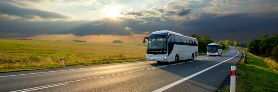 Cover image for post Late Realisations (2), by CS