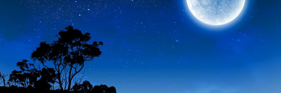 Cover image for post Upon A Grassy Hillside, by Danceinsilence