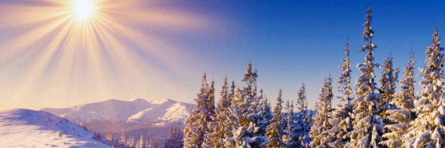 Cover image for post Winter Sun, by MClarice