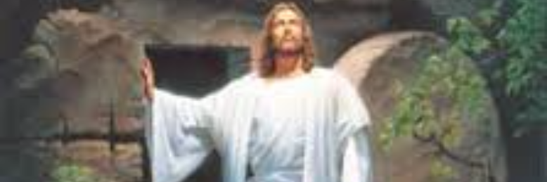 Cover image for post died and resurrected, by wordSwork