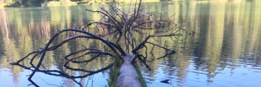 Cover image for post Before you go, by Etch