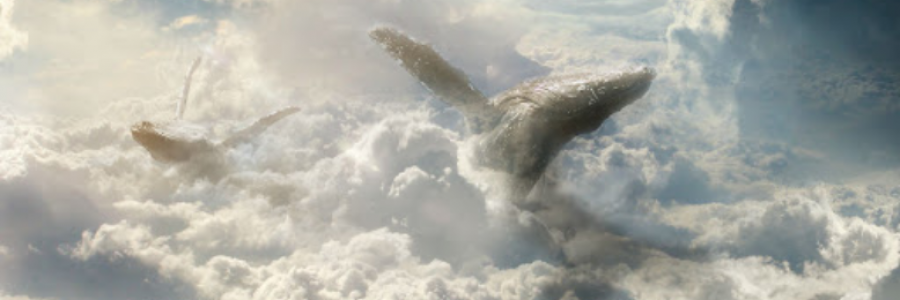 Cover image for post Love For An Eternity, by Danceinsilence