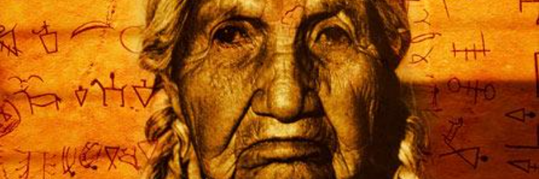 Cover image for post Grandma Lynx, by ELRose