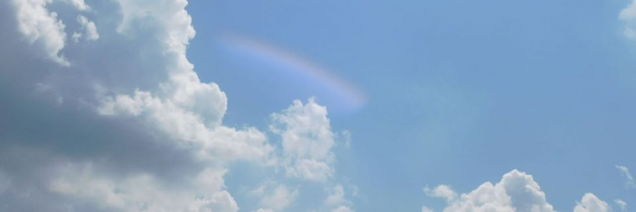 Cover image for post Fists Full of Gold, by LexiCon