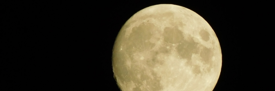 Cover image for post Solar Sailing, by LexiCon